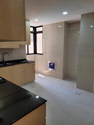 Sommerville Park (D10), Condominium #565620841